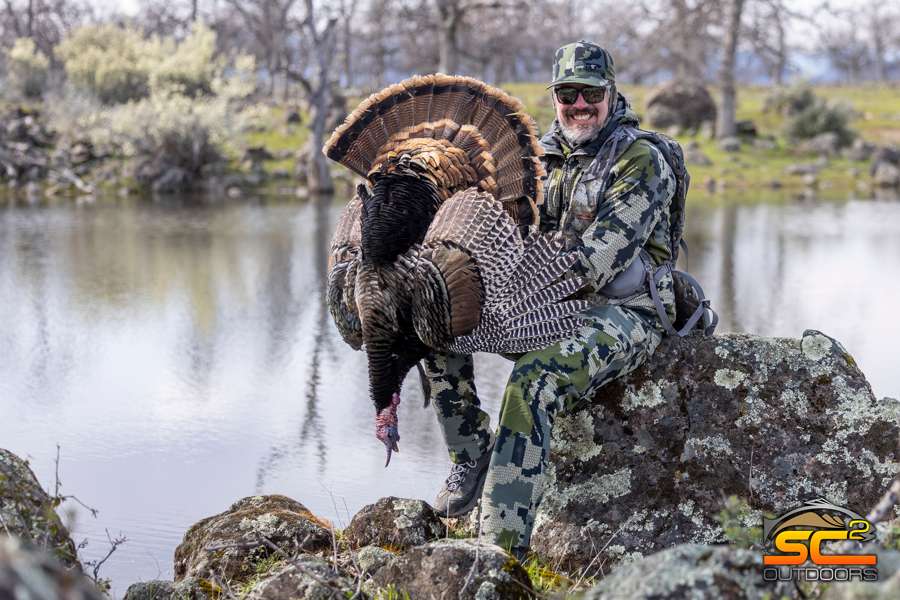 Wild Turkey Hunting